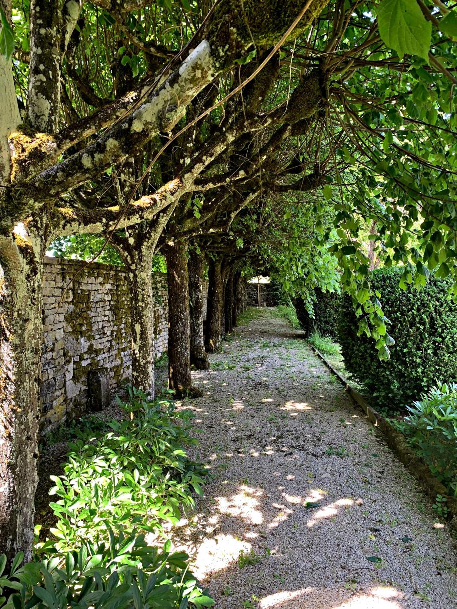 Le Clos Du Marronnier Rivieres-les-Fosses Exteriér fotografie